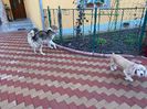 IMG-20230101-WA0006