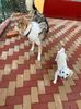 IMG-20230101-WA0008