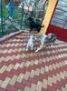 IMG-20230101-WA0010