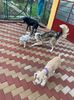 IMG-20230101-WA0011