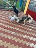 IMG-20230101-WA0012