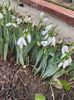 IMG-20230101-WA0015