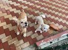 IMG-20230101-WA0018