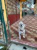 IMG-20230101-WA0023