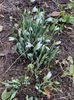 IMG-20230101-WA0024