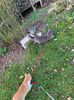IMG-20230101-WA0026