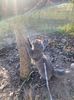 IMG-20230106-WA0004
