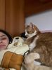 IMG-20230114-WA0003