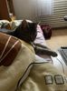 IMG-20230114-WA0004