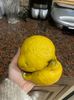 IMG-20230119-WA0007