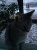 IMG-20230120-WA0013