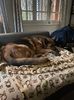 IMG-20230129-WA0011