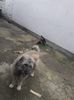 IMG-20230201-WA0011