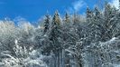 IMG-20230205-WA0007