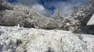 IMG-20230205-WA0008