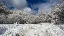 IMG-20230205-WA0010