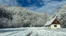 IMG-20230205-WA0011