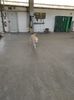 IMG-20230207-WA0002