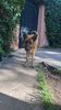 IMG-20230212-WA0004