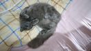 IMG-20230222-WA0012