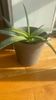 IMG-20230306-WA0001