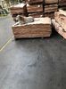 IMG-20230307-WA0000