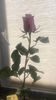IMG-20230308-WA0017