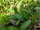 IMG-20230318-WA0007