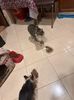 IMG-20230321-WA0007