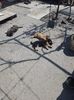 IMG-20230413-WA0009