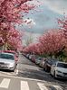 IMG-20230419-WA0033