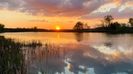 IMG-20230420-WA0013