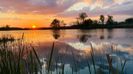 IMG-20230420-WA0015