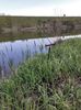 IMG-20230421-WA0014