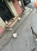 IMG-20230423-WA0001