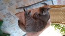 IMG-20230423-WA0009