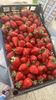 IMG-20230423-WA0019