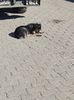 IMG-20230428-WA0000