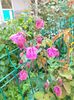 IMG20230507164825