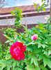IMG20230507105927