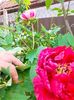 IMG20230507105911