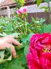 IMG20230507105909