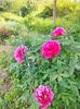IMG20230507163918