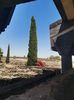 Capernaum