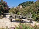 Capernaum