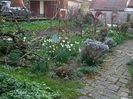 Img.2023.03.25
