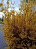 Img.2023.03.25