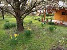 Img.2023.04.03