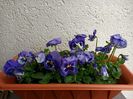 Img.2023.04.08