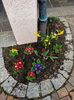 Img.2023.04.11-când nu ai grădină